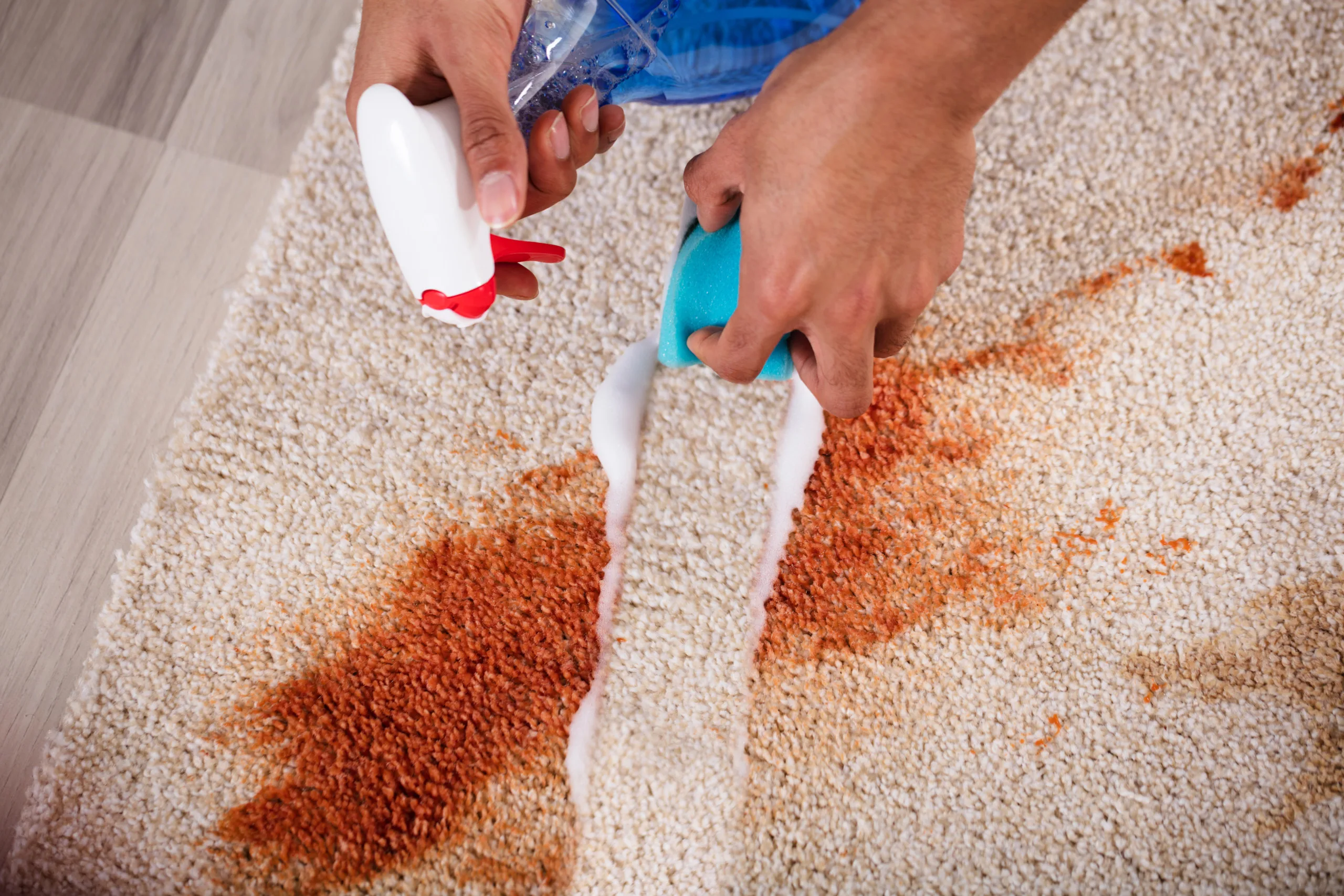 Specialized Stain Removal